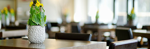 Caffetteria, Snacking, Vending